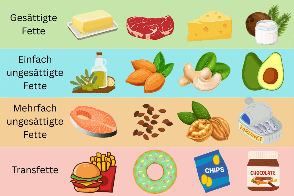 nfografik: Fettarten – gesättigt, einfach & mehrfach ungesättigt sowie Transfette – mit Lebensmittel-Beispielen (Butter, Olivenöl/Nüsse/Avocado, Lachs/Walnüsse/Sardinen, Burger/Chips/Donut).
