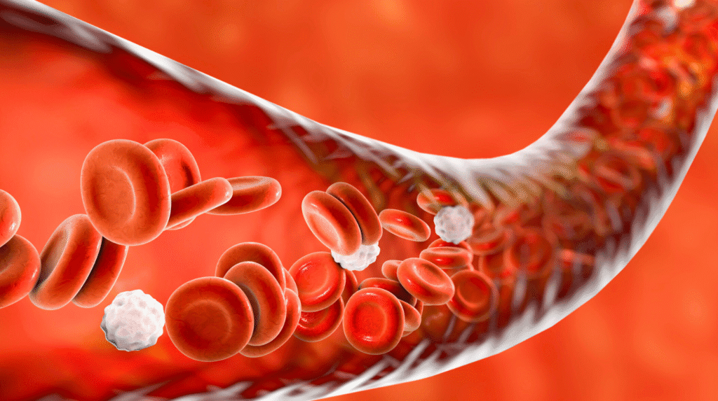 Darstellung von roten Blutkörperchen in einer Blutbahn als Symbol für Blutzucker im Körper