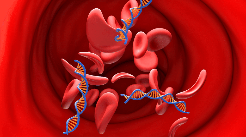 Illustration von Blutzellen im Blutkreislauf
