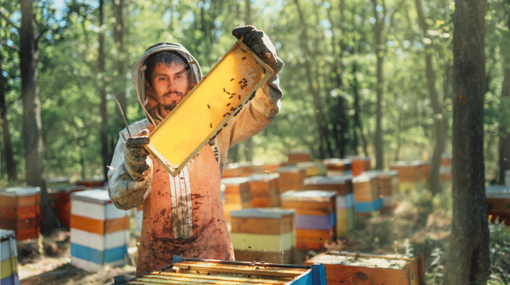 Imker hält eine Honigwabe vor einem Bienenstock