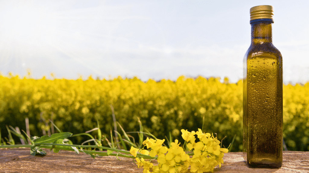 Flasche mit Rapsöl vor einem blühenden Rapsfeld